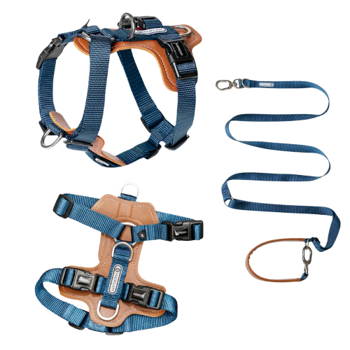 Dog Harness | Premium - No Pull | Comfortable & Safety | Harness & Leash Kit